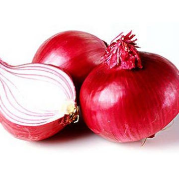 2016 Fresh Red Onion Export From China